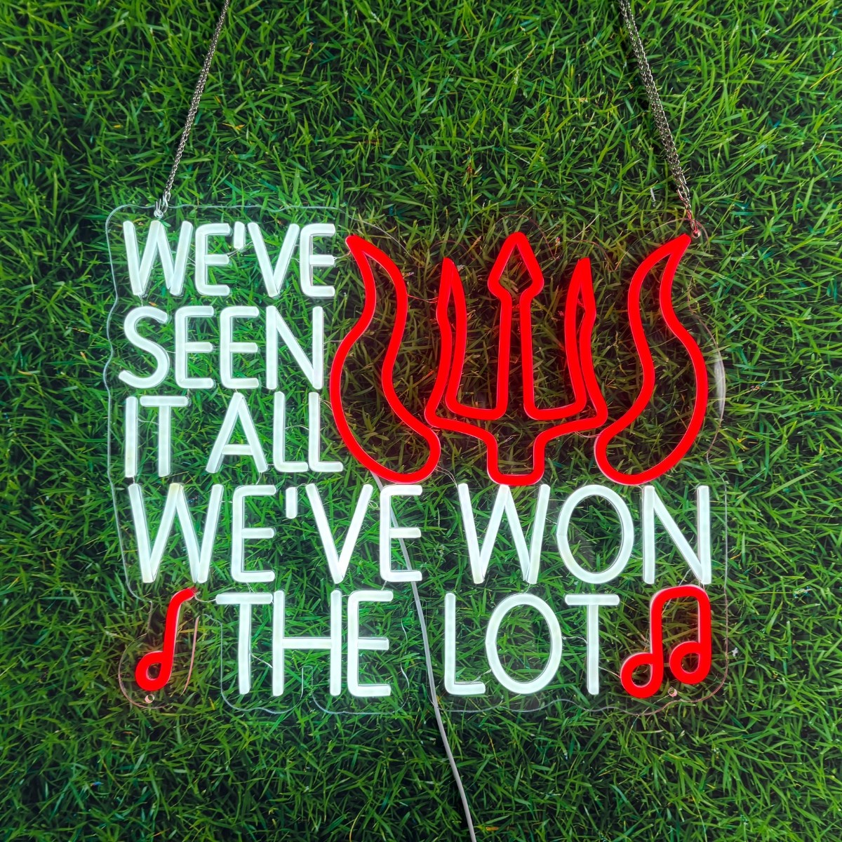 Glowline Series: "We've Seen It All, We've Won the Lot" Neon Sign